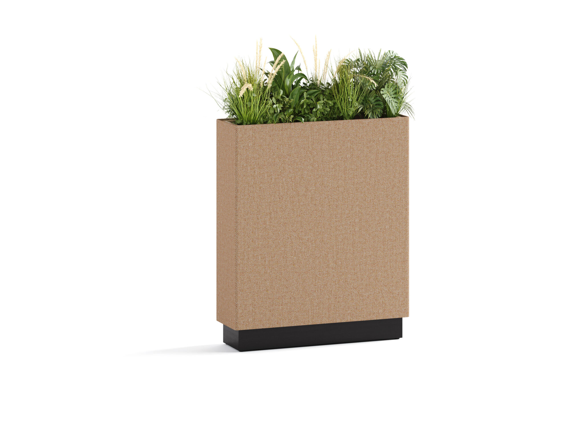 ENS/PLANT/LB/650